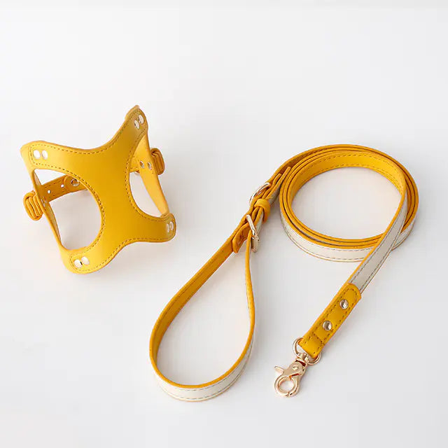 Dog Harness and Leash for Small and Medium Pets