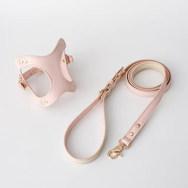 Dog Harness and Leash for Small and Medium Pets