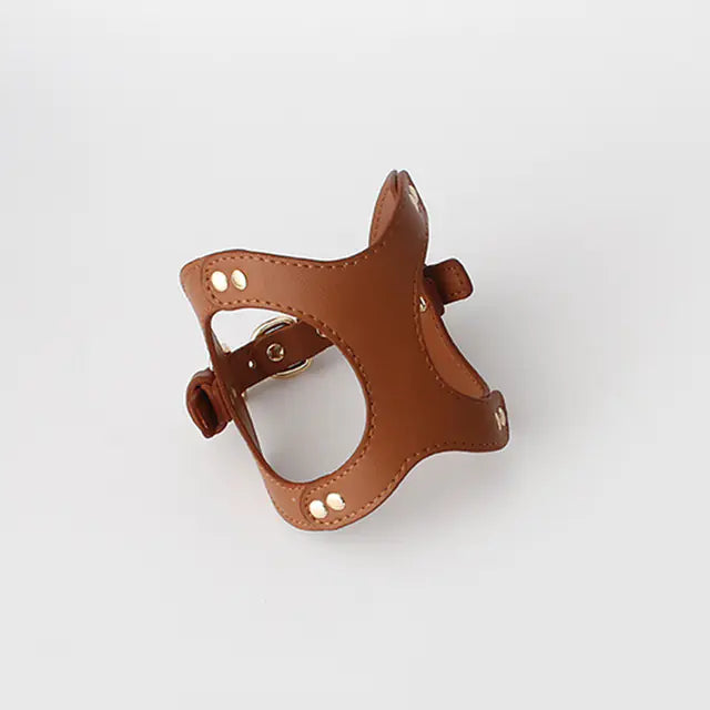 Dog Harness and Leash for Small and Medium Pets