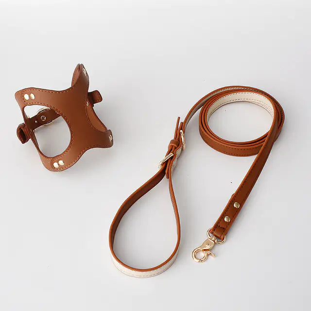 Dog Harness and Leash for Small and Medium Pets