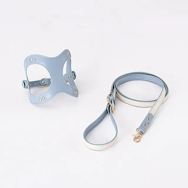 Dog Harness and Leash for Small and Medium Pets