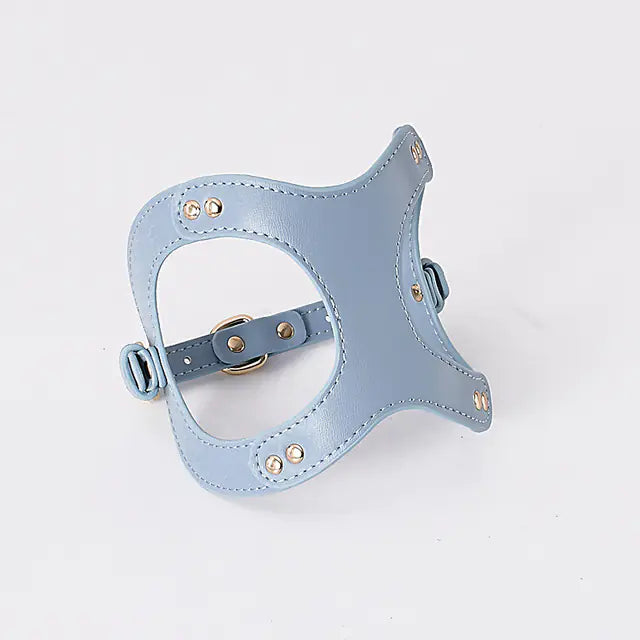 Dog Harness and Leash for Small and Medium Pets