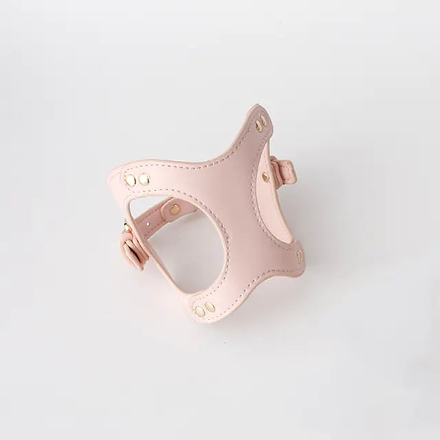 Dog Harness and Leash for Small and Medium Pets