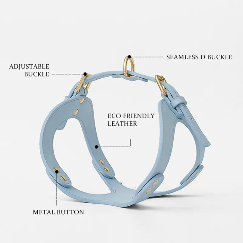 Dog Harness and Leash for Small and Medium Pets