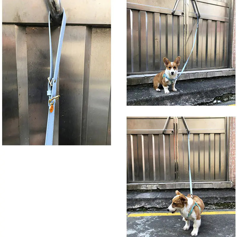 Dog Harness and Leash for Small and Medium Pets