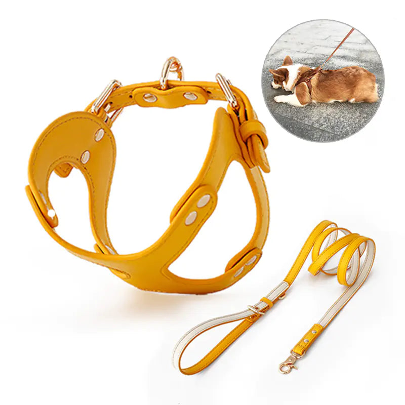 Dog Harness and Leash for Small and Medium Pets