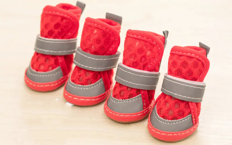Small Dog Shoes for Teddy Pets